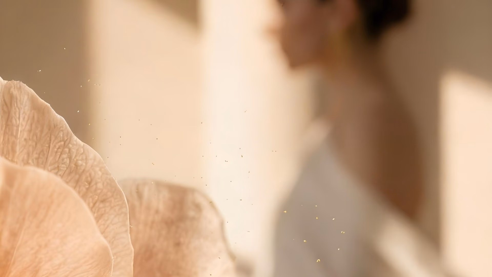 Pale petals close in the foreground, and beyond them a woman in white, softly out of focus in warm light.